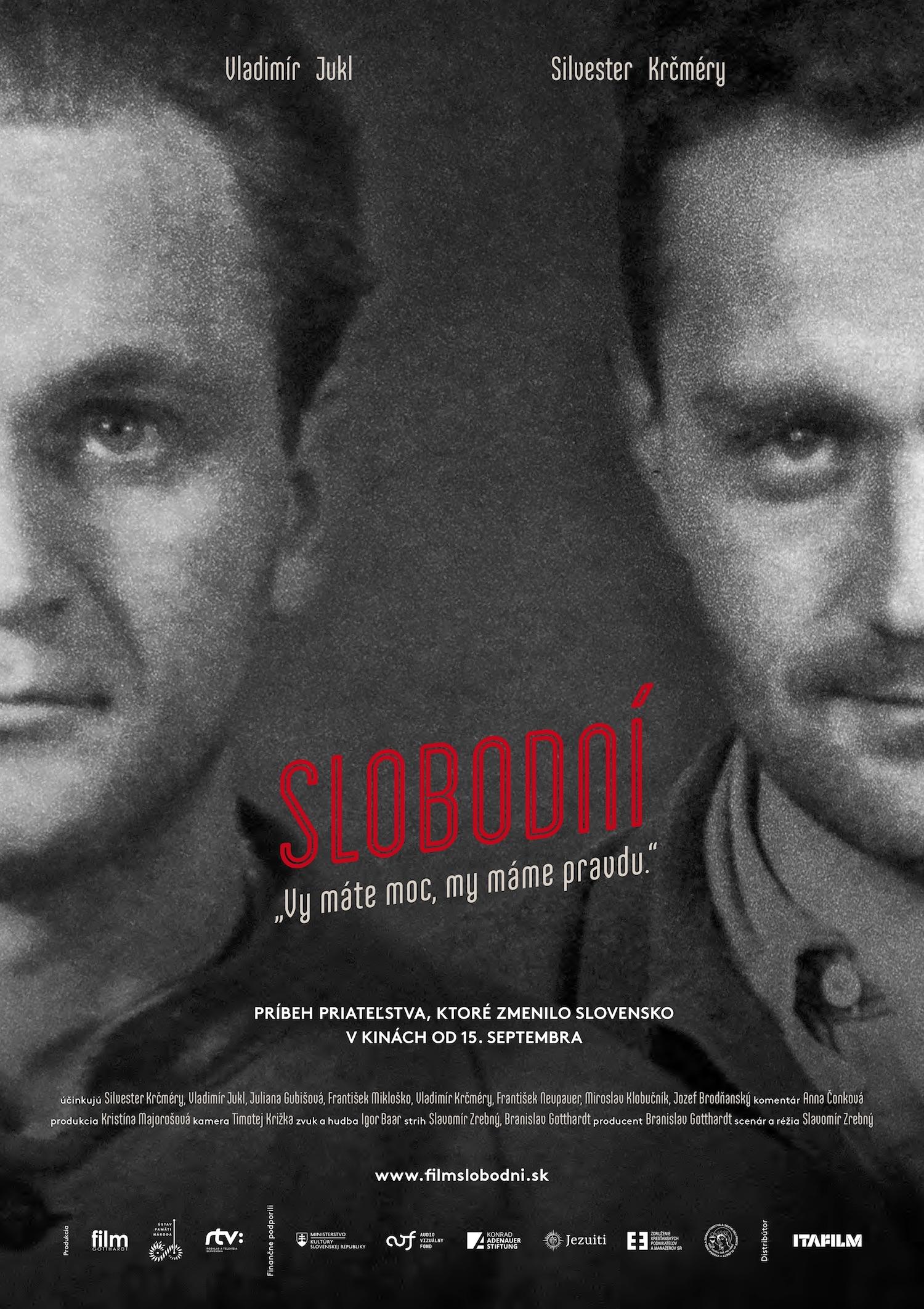 Film, Slobodni, plagat