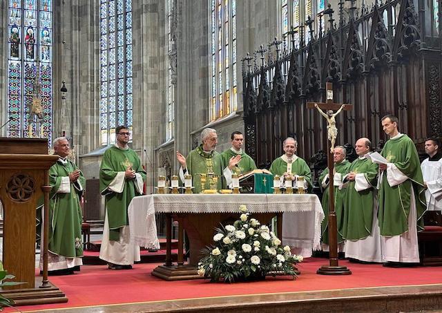 Mons. Luis Marín de San Martín, omsa, katedrala