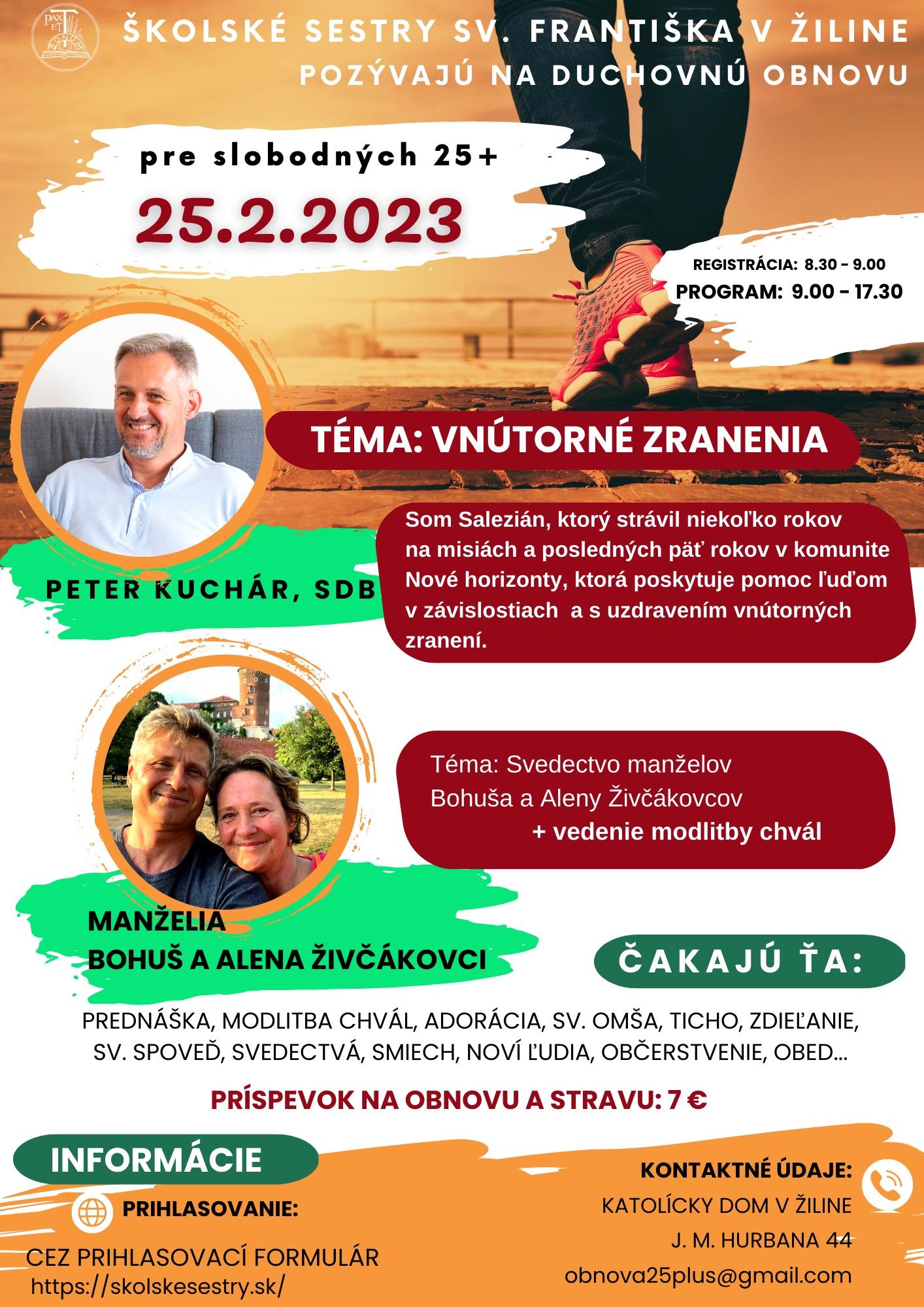 Žilina, obnova, plagat