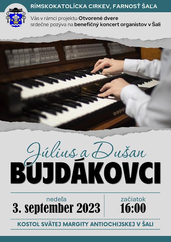 Sala, farnost, organ, plagat, koncert