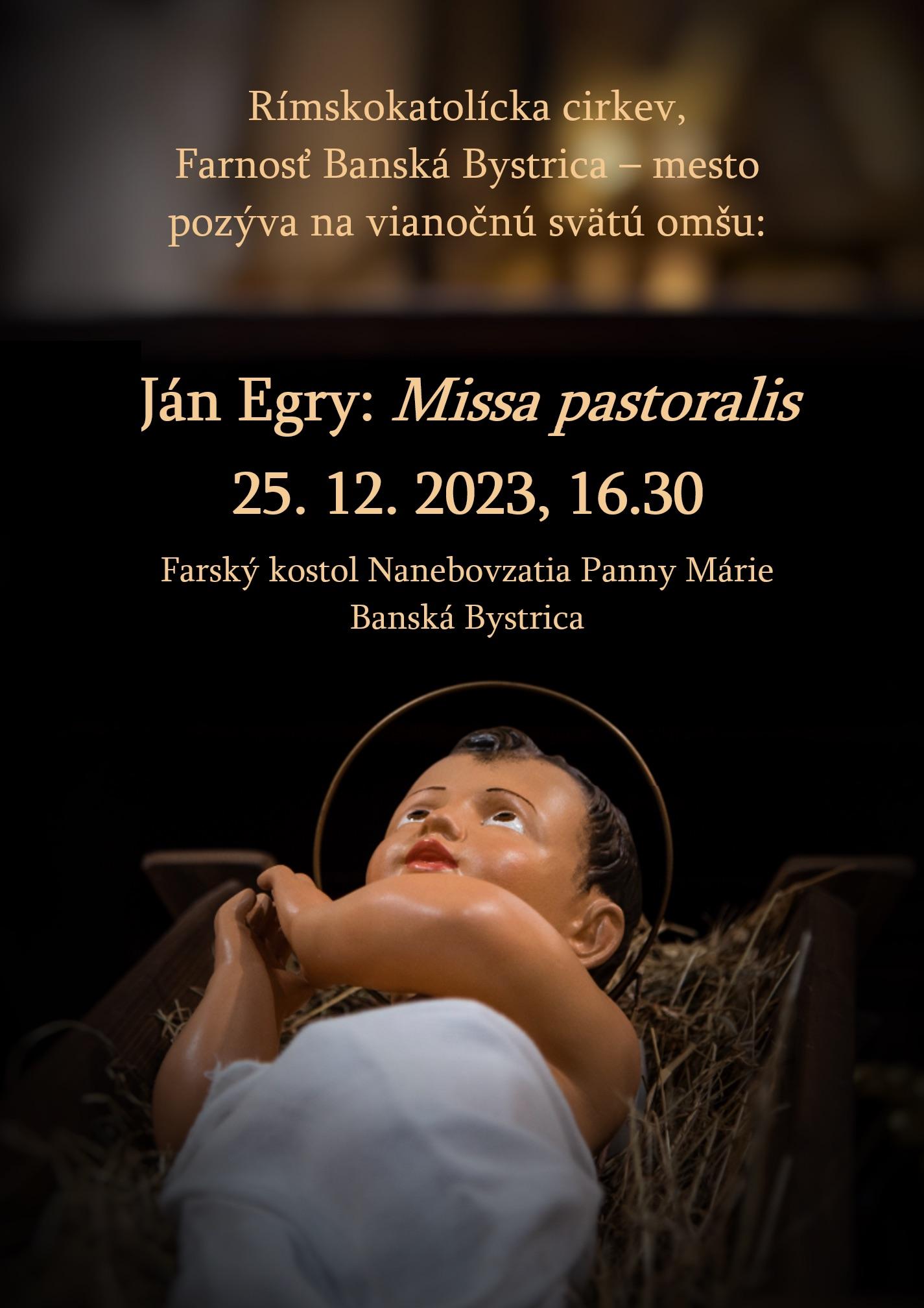 Banska Bystrica, Jan Egry, koncert, omsa, plagat