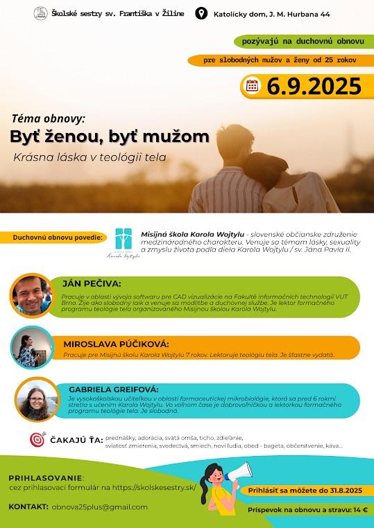 ilina, obnova, plagat