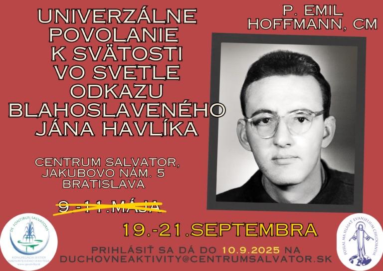 Havlik, obnova, plagat