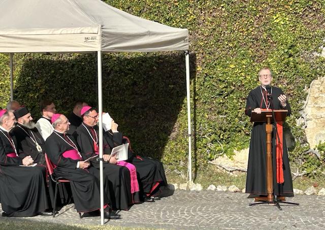 Rm, mozaika, odhalenie, Gugerotti