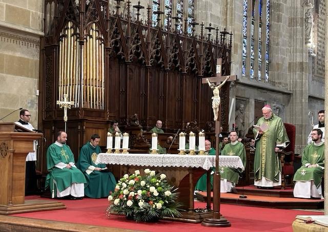 Bratislava, Gallagher, katedrala