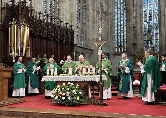 Bratislava, Gallagher, katedrala