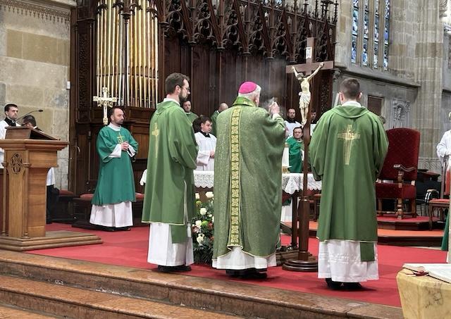 Bratislava, Gallagher, katedrala